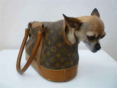 chihuahua louis vuitton|louis vuitton dog bag monogram.